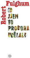 Co jsem to proboha udělal? - Robert Fulghum