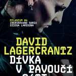 Dívka v pavoučí síti - David Lagercrantz - e-kniha