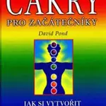 Čakry pro začátečníky - David Pond