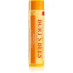 Burt’s Bees Lip Care vyživující balzám na rty (with Mango Butter) 4,25 g