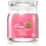 Yankee Candle Art In The Park vonná svíčka Signature 368 g