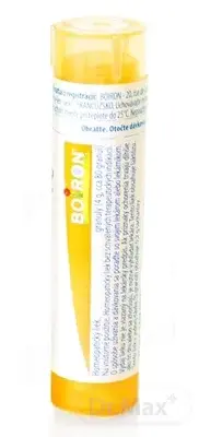 STRAMONIUM CH15 1x4 g