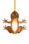 Stolná lampa QeeBoo Hungry Frog