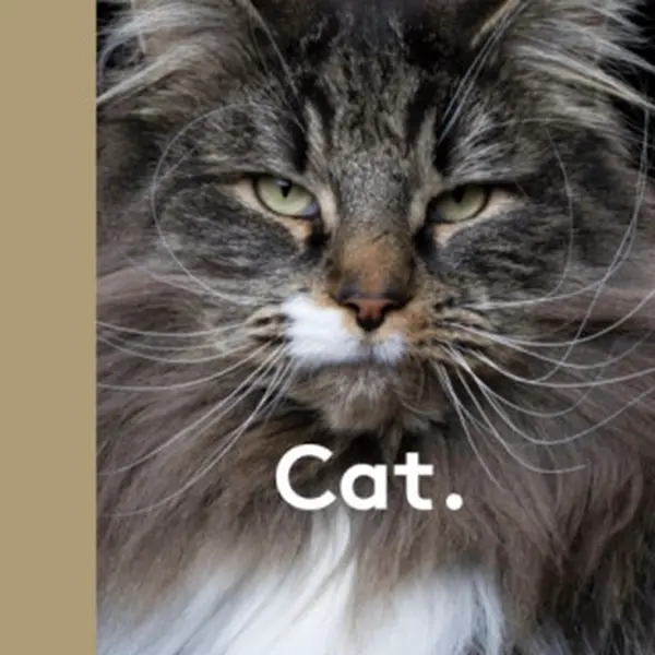 New Photography of the Cat. - Hoxton Mini Press