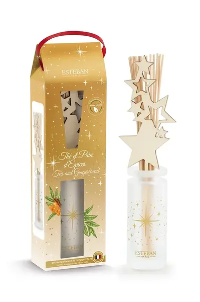 Aroma difuzér Esteban Tea and Gingerbread 100 ml více barev