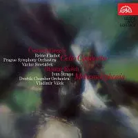 Různí interpreti – Gregor: Koncert pro violoncello, Kvěch: Proměna