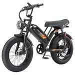 PURE UNICORN U5 Electric Bike 1000W 48V 19.2Ah