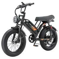 PURE UNICORN U5 Electric Bike 1000W 48V 19.2Ah