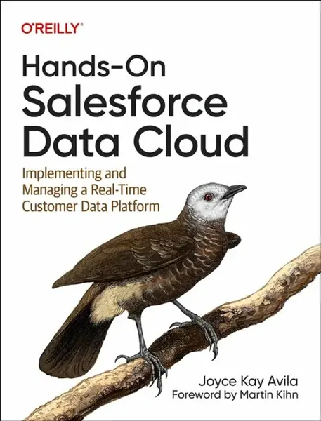 Hands-On Salesforce Data Cloud - Joyce Kay Avila