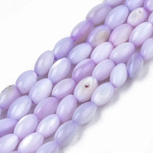 Natural Freshwater Shell Beads Strands