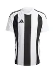 ADIDAS PERFORMANCE Dres 'Striped 24'  čierna / biela