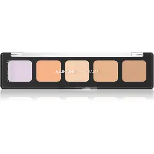 Catrice Allround Concealer paleta korektorů odstín 020 Light 6 g