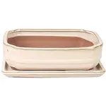 Kvetináč sklenená bonsai s podstavcom G144-10S WHZY krémová 27,3x21