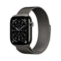 Apple Watch S11 Cell - 46mm Milanese Loop břidlicově šedé M/L