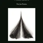 Do světla vejdi - Jan Petr Pernica - kniha z kategorie Poezie