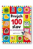 Prvých 100 slov so samolepkami - Robyn Newton, Kimberley Faria, Kate Ward