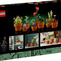 Miniaturní rostliny - LEGO Icons (10329)