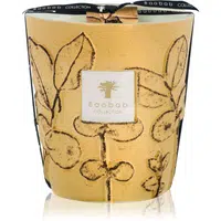 Baobab Collection Folia Garrigue vonná svíčka 16 cm