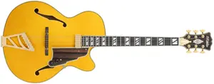D'Angelico Excel 16 Amber