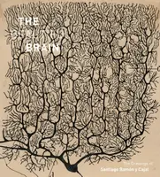 The Beautiful Brain - Alfonso Araque, Larry Swanson, Eric Newman