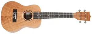 Tanglewood TWT6