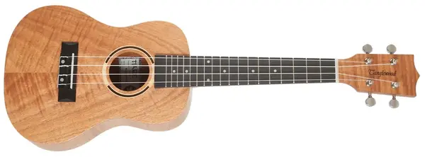 Tanglewood TWT6