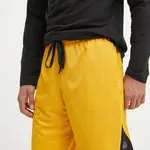 Tréningové šortky Reebok Classic Above The Rim