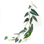 Umelá rastlina home & lifestyle