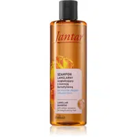 Farmona Jantar Amber Essence šampon pro dlouhé vlasy 300 ml