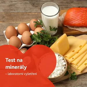 Test na minerály - laboratorní vyšetření