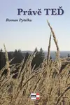 Právě teď - Roman Pytelka