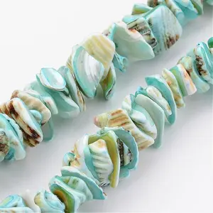 Natural Shell Bead Strands
