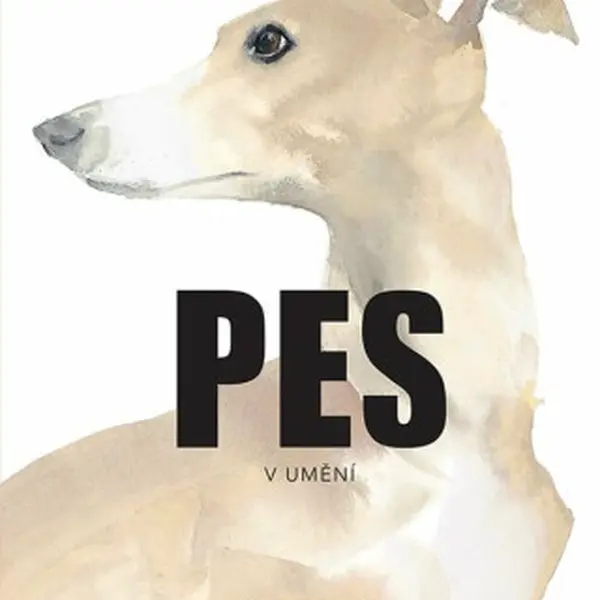 Pes v umění