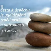 Magnet na lednici - Cesta k úspěchu je vydlážděná trpělivostí a vytrvalostí. - Sri Chinmoy