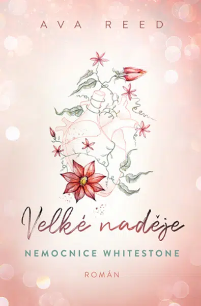 Velké naděje - Ava Reed - e-kniha