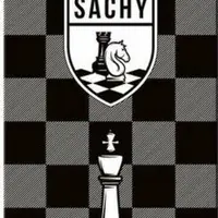 Magnetické šachy