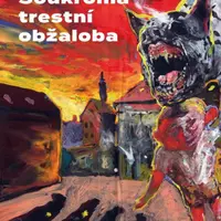 Soukromá trestní obžaloba - Zeno Dostál