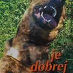 Je dobrej - Emília Miluše Baco - e-kniha