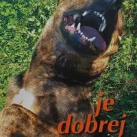 Je dobrej - Emília Miluše Baco - e-kniha
