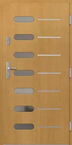 Venkovní vchodové dveře P64