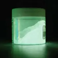 Svítící pigment Master 50g – 301 White