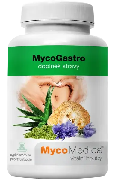MYCOMEDICA MycoGastro 90 g