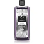 Delia Cosmetics Cameleo Flower Water tónovacia farba na vlasy odtieň Silver 200 ml
