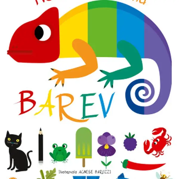 Moje velká kniha barev - Agnese Baruzzi