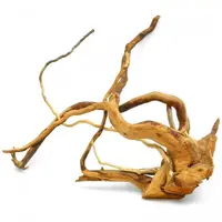 Kořen Red Moor dřeva L (0,5-0,8 kg)