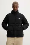 Dickies  Bunda
