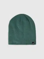 Men's hat 4F