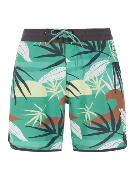 Men's beach shorts Protest PRTADDO