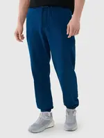 Men's Sweatpants 4F