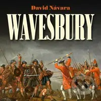Wavesbury - David Návara - audiokniha z kategorie Společenská beletrie